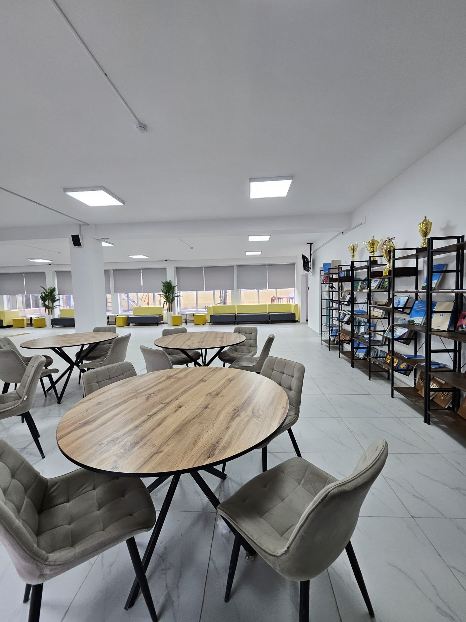 WhatsApp Image 2026-02-12 at 17.32.37.jpeg