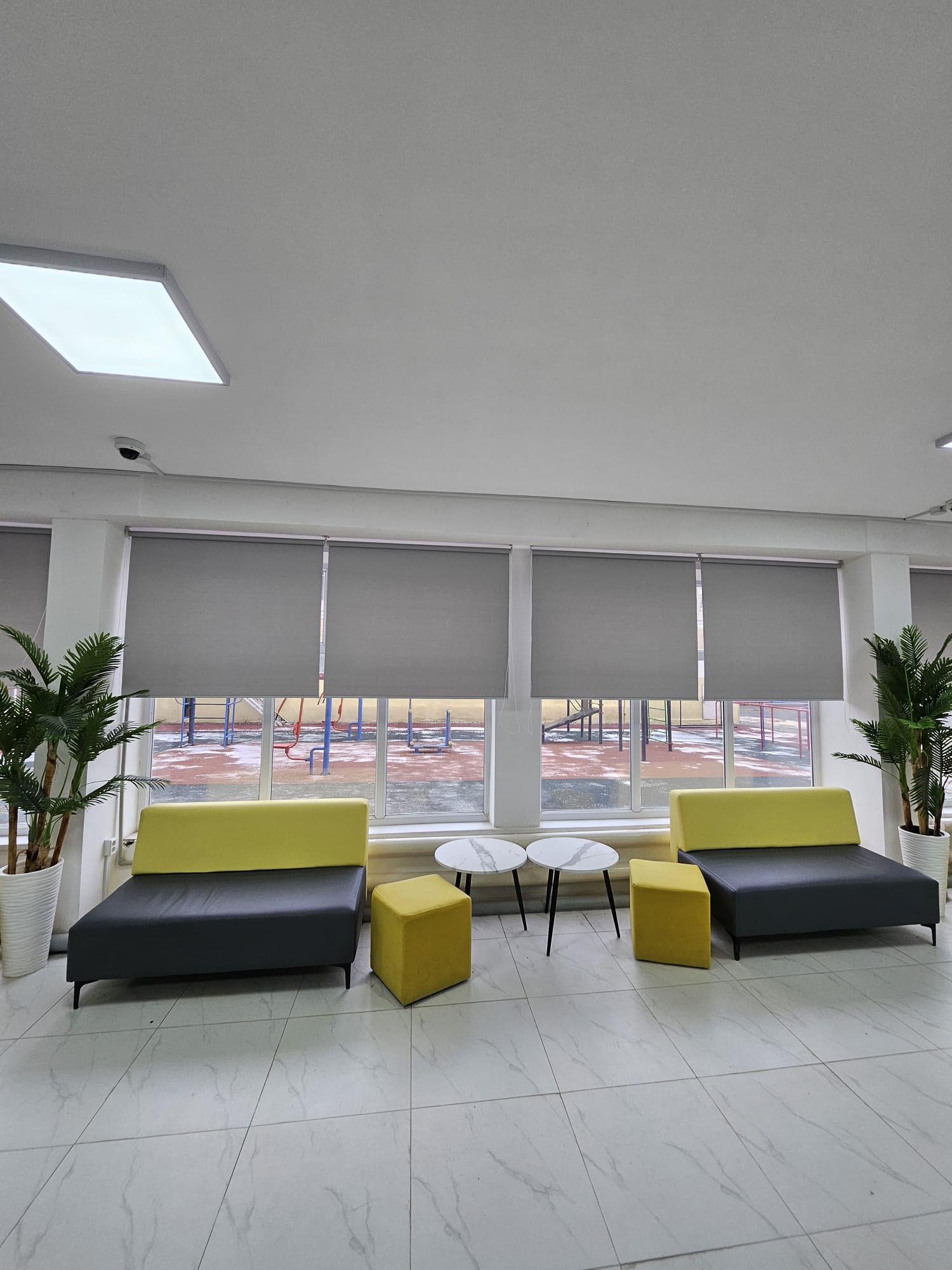 WhatsApp Image 2026-02-12 at 17.32.40.jpeg