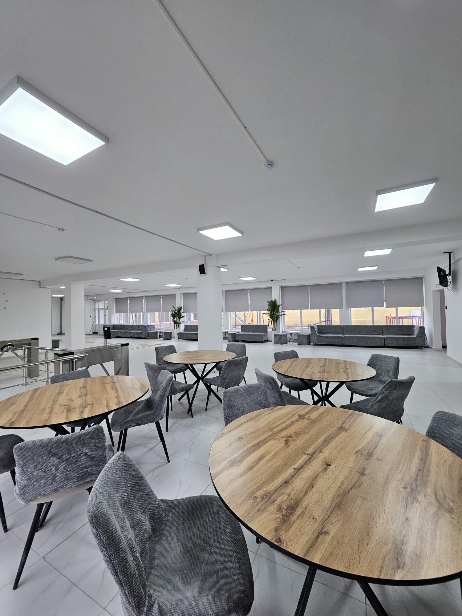 WhatsApp Image 2026-02-12 at 17.32.44.jpeg