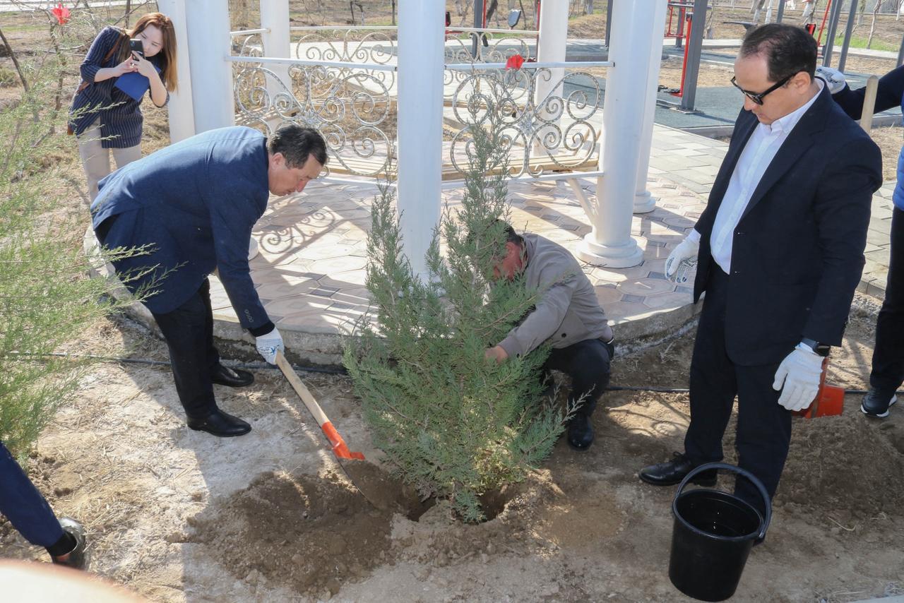 WhatsApp Image 2026-04-01 at 11.16.21.jpeg