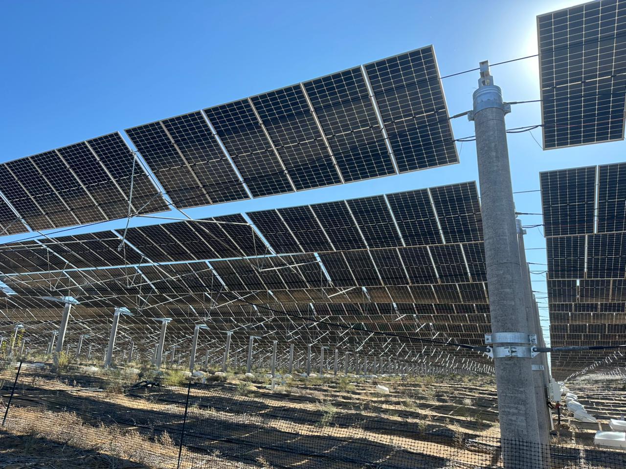 WhatsApp Image 2026-03-30 at 14.42.11.jpeg