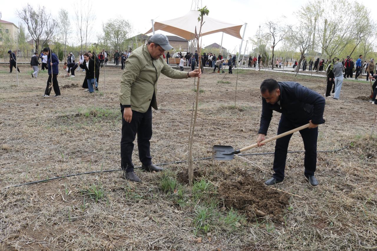 WhatsApp Image 2026-04-04 at 14.02.51.jpeg