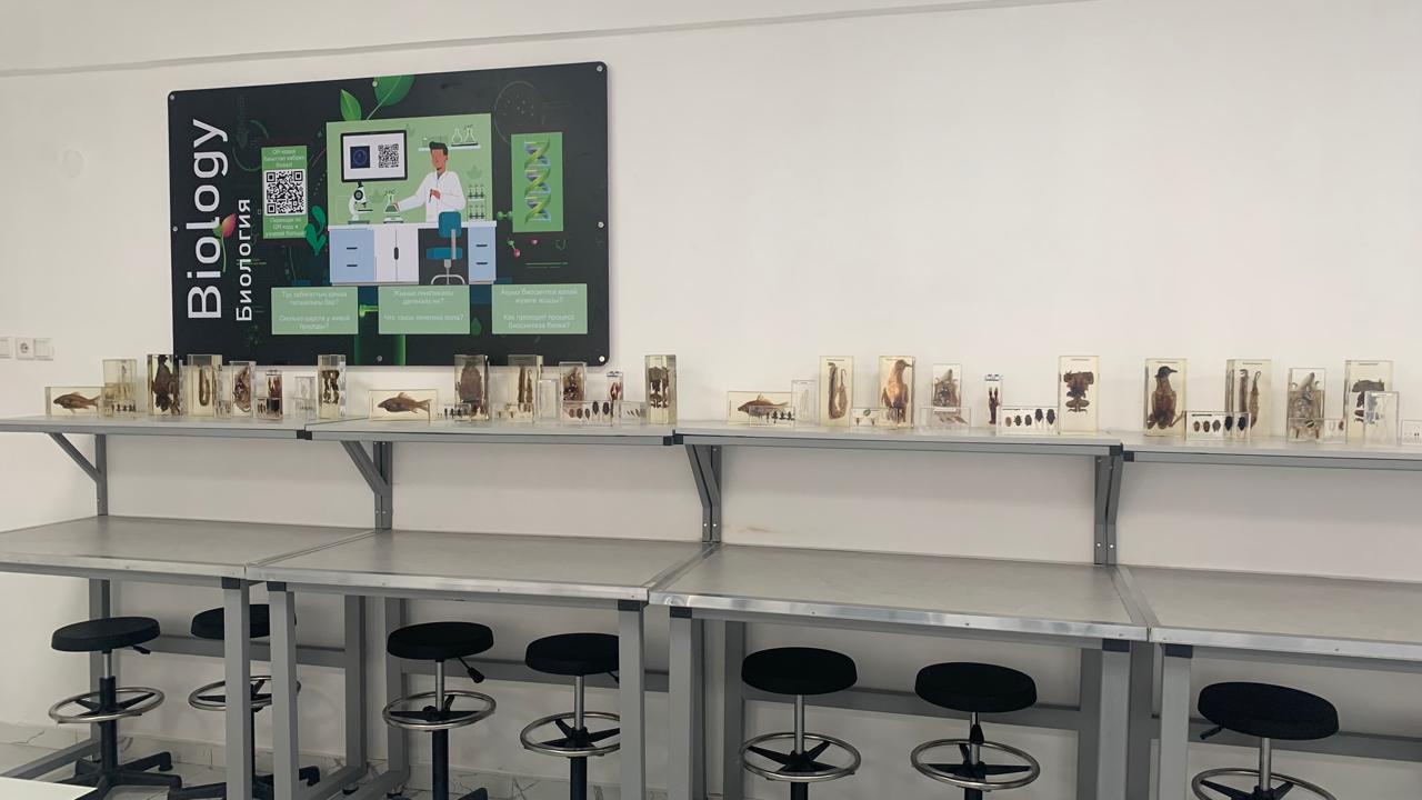 WhatsApp Image 2026-01-14 at 12.56.27.jpeg