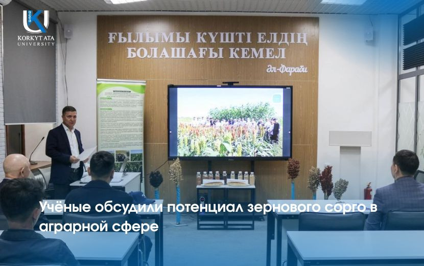 Учёные обсудили потенциал зернового сорго в аграрной сфере